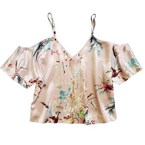 Aritzia Floral Blouse in Cream and Blue